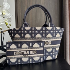 Christian Dior Shopping Bags